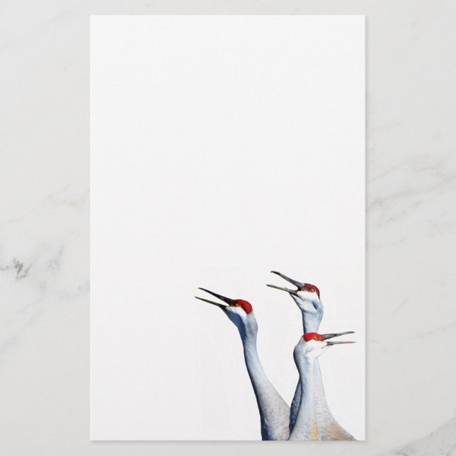 3 Sandhill Cranes Foto Stationery Paper Briefpapier (Vorderseite)
