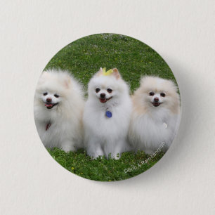 3 Spitz-Sitzen Button
