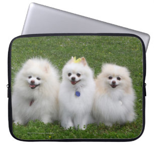 3 Spitz-Sitzen Laptopschutzhülle