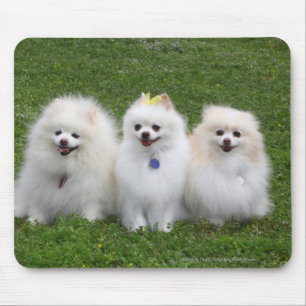3 Spitz-Sitzen Mousepad