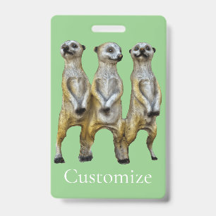 3 Stehend Meerkats Thunder_Cove Ausweis