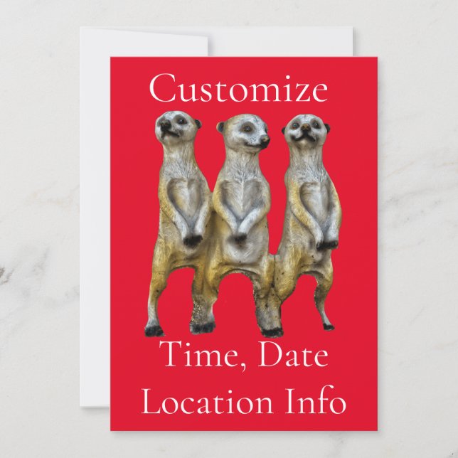 3 Stehend Meerkats Thunder_Cove Einladung (Vorderseite)