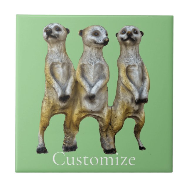 3 Stehend Meerkats Thunder_Cove Fliese (Vorderseite)