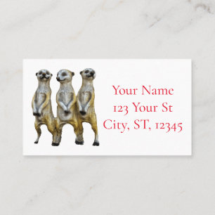 3 Stehend Meerkats Thunder_Cove Visitenkarte