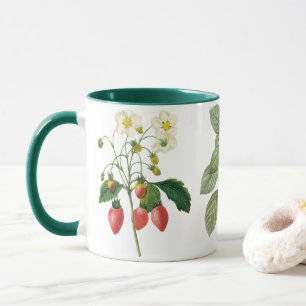 3 verschiedene alte botanische Früchte von Redoute Tasse