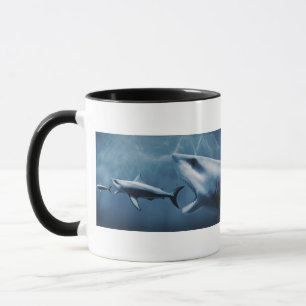 3 Weiße Haie (Carcharodon Carcharias) Tasse