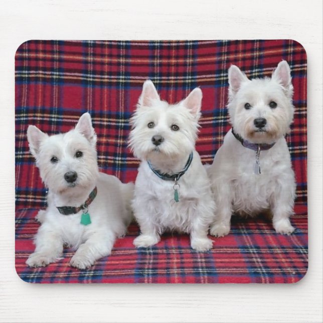 3 Westies Mousepad (Vorne)