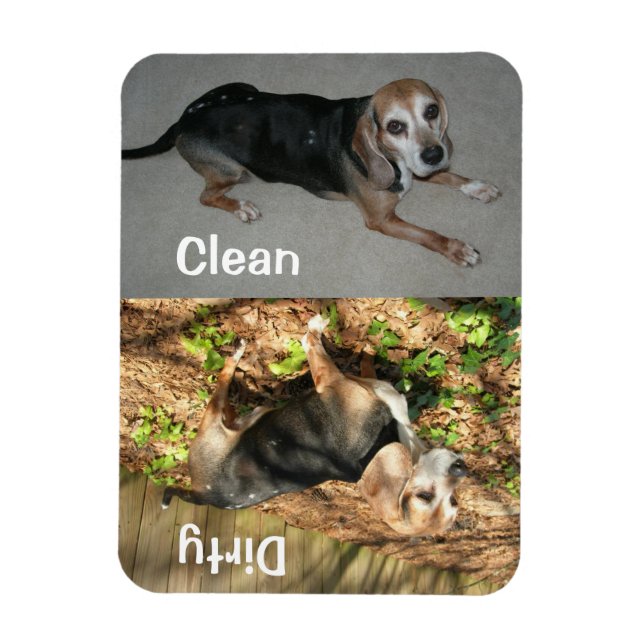 3" x 4" Sauberer/schmutziger Beagle Foto Geschirrs Magnet (Vertikal)