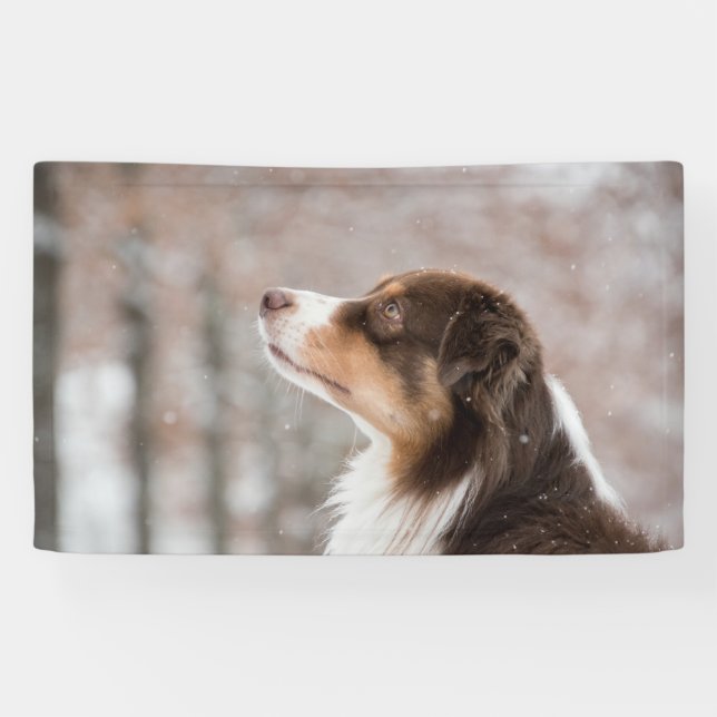 3' x 5' Banner (Horizontal)