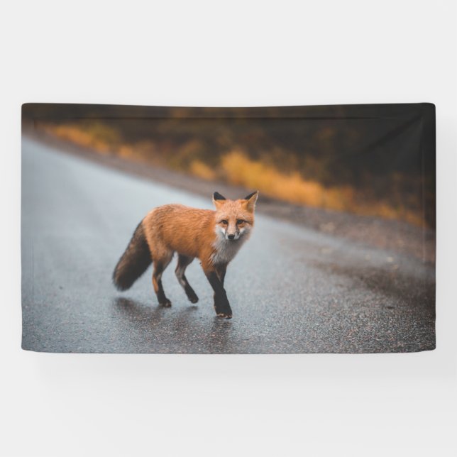 3' x 5' Banner (Horizontal)