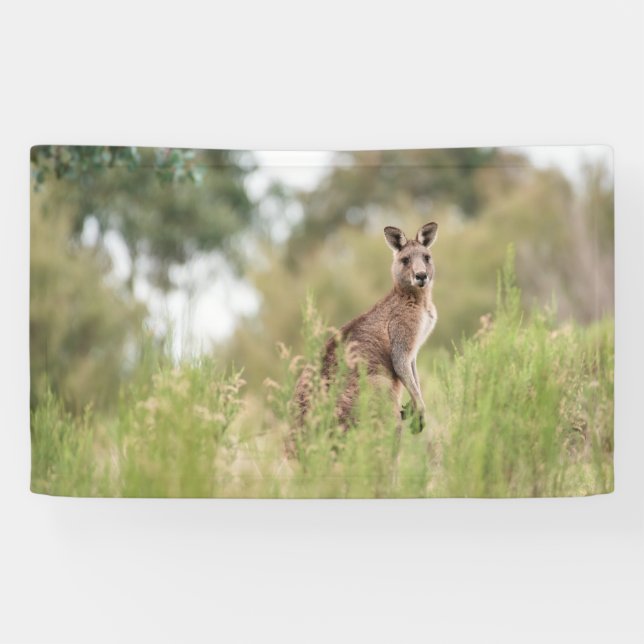 3' x 5' Banner (Horizontal)