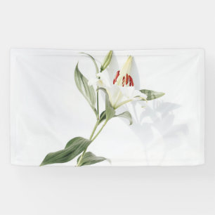 3' x 5' Banner