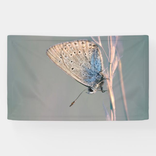 3' x 5' Banner (Horizontal)
