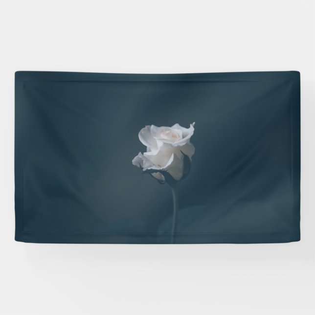 3' x 5' Banner (Horizontal)