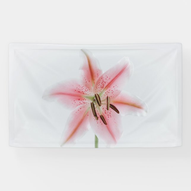 3' x 5' Banner (Horizontal)