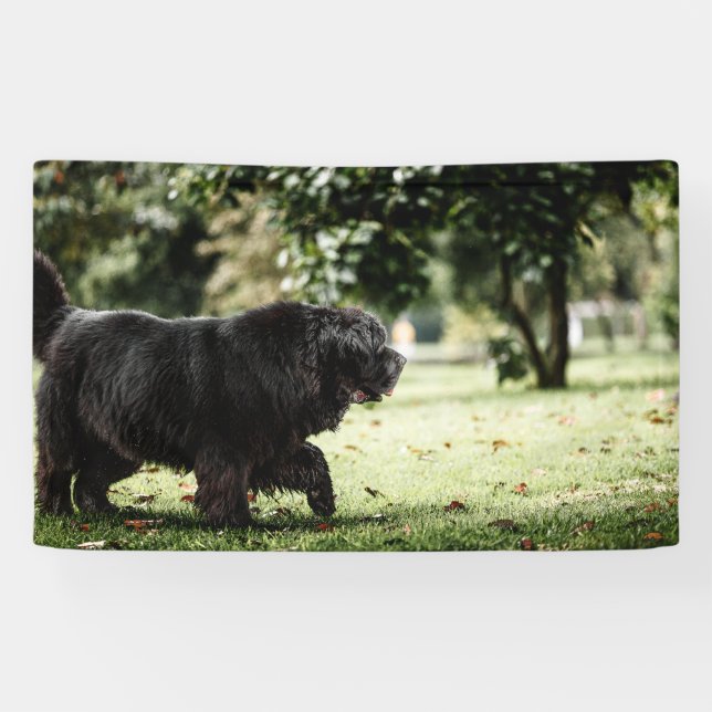3' x 5' Banner (Horizontal)