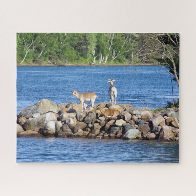 3 Ziegen auf Felsen Puzzle (Horizontal)