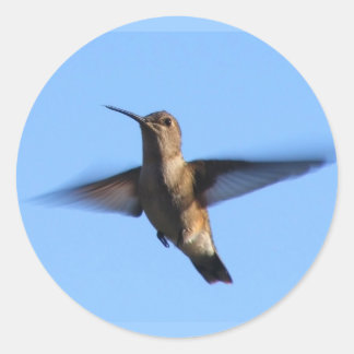 3aJ Hummingbird im blauen Himmel Runder Aufkleber