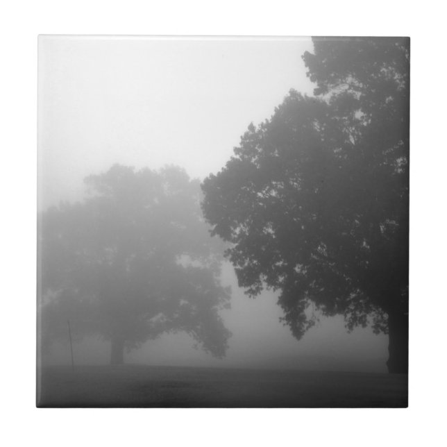 3Bäume Fliese (Vorderseite)