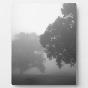 3Bäume Fotoplatte