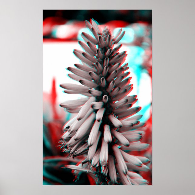 3D Crazy Blume Poster (Vorne)