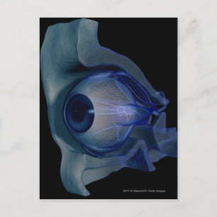 3D-Drahtbereich der Augenmuskeln in einer Sockel Postkarte