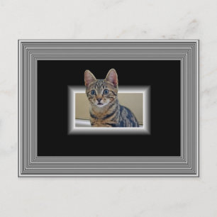 3D KITTY POSTCARD POSTKARTE