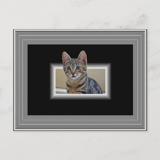 3D KITTY POSTCARD POSTKARTE (Vorderseite)