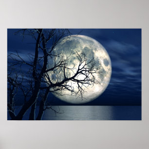 3D Landschaft Hintergrund mit Mond über dem Meer Poster