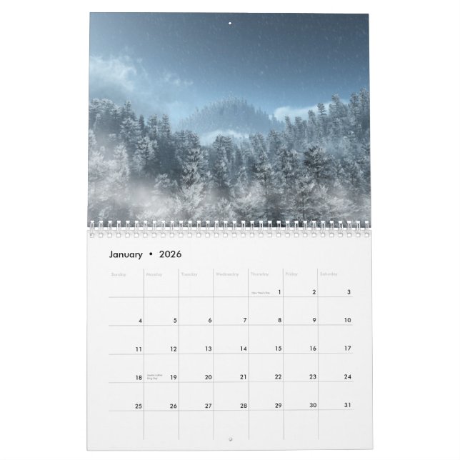 3D Landschaften - 2010 Wandkalender (Jan 2026)