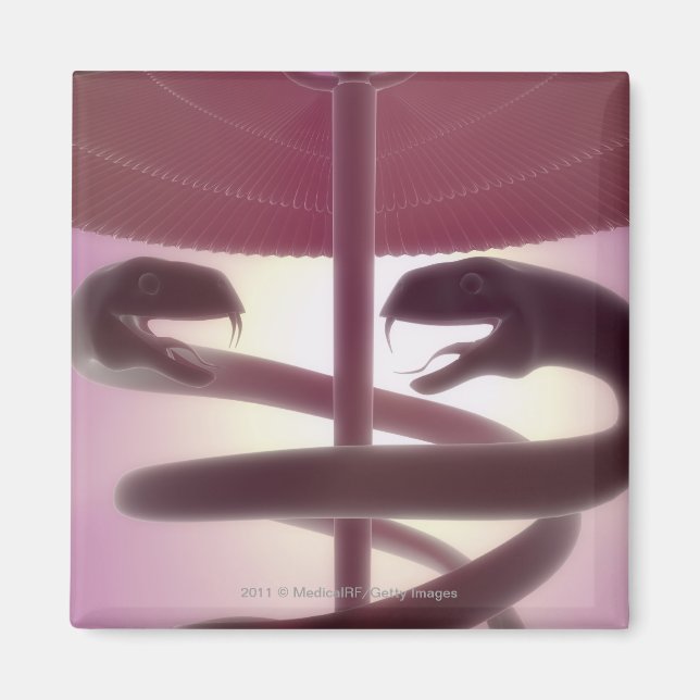 3D. medizinische Kadukeus Magnet (Vorne)