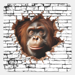 3D Orangutan Mauer Break - The Restaurant Quadratischer Aufkleber