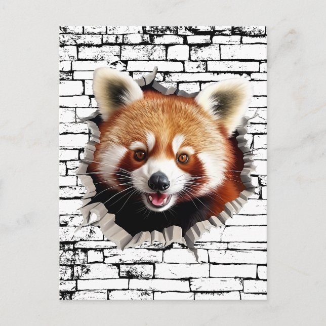 3D Red Panda Wall Break Art – Realistic Safari Postkarte (Vorderseite)