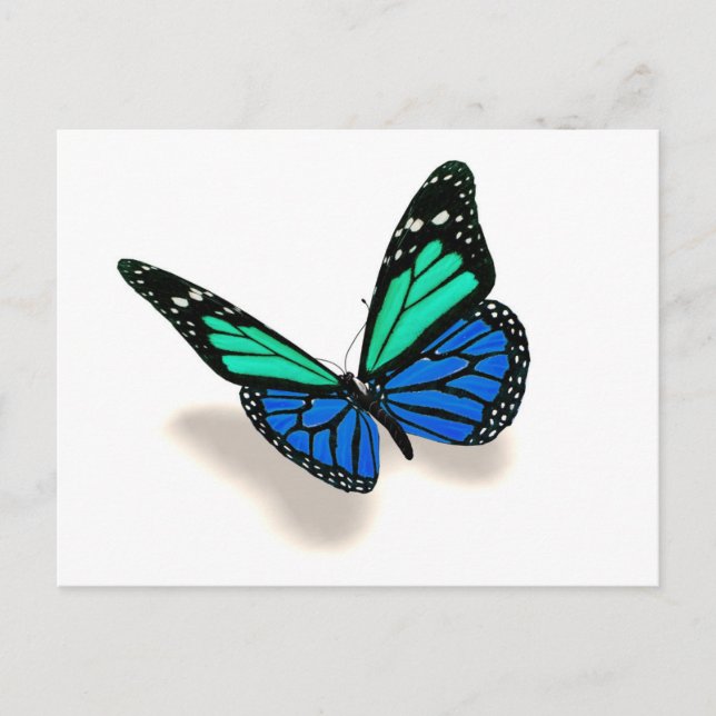 3D-Schmetterling Postkarte (Vorderseite)