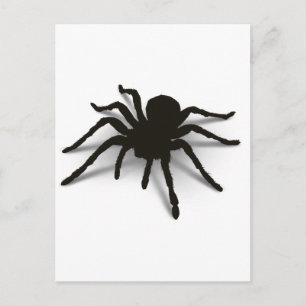 3D-Spider Postkarte
