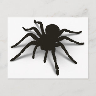 3D-Spider Postkarte