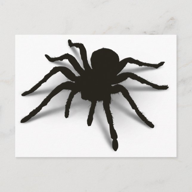 3D-Spider Postkarte (Vorderseite)