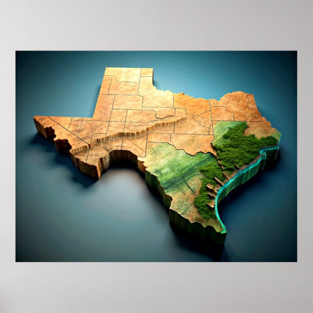3D Texas Map Poster (Vorne)