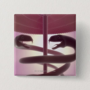 3d übertrug medizinischen Caduceus Button