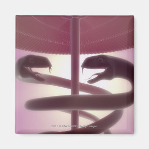3d übertrug medizinischen Caduceus Magnet