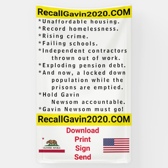 3ft x 5ft Recallgavin2020 Banner (Vertikal)