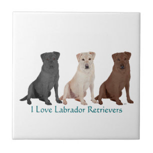 3Labs Fliese