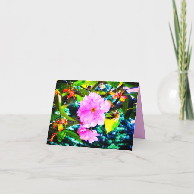3PINK BLOSSOME GREETING CARD KARTE (Vorderseite)