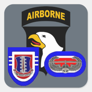 3RD BN 187. INFANTRIE 101. IM FLUGZEUG STICKER