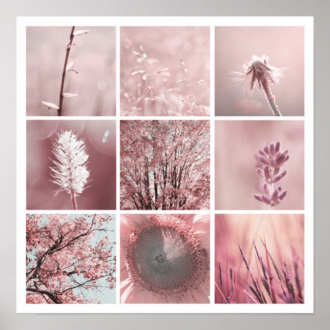 3x3 rosa Fotos drucken Poster (Vorne)