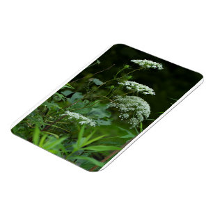 3x4-Magnetschablone Magnet