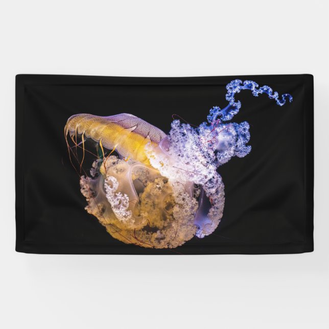 3'x 5' Banner (Horizontal)