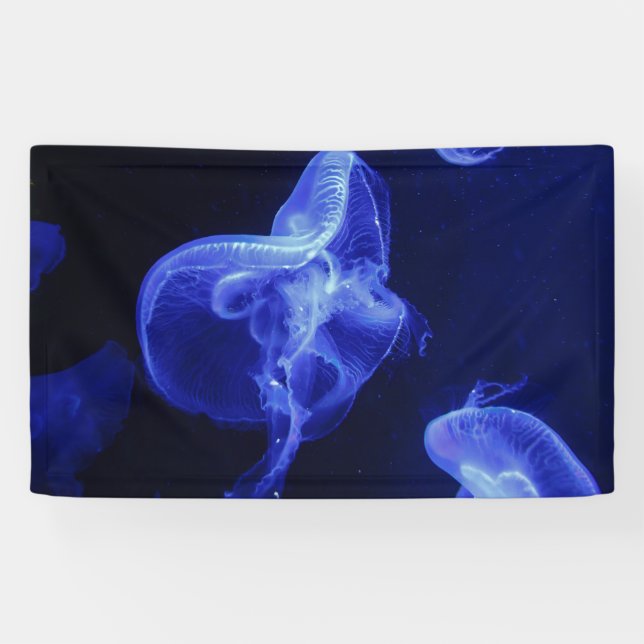 3'x 5' Banner (Horizontal)