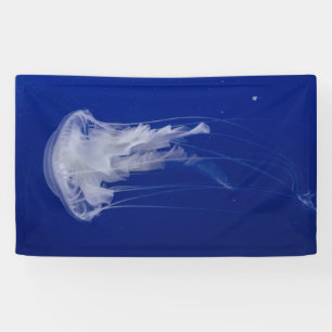 3'x 5' Banner