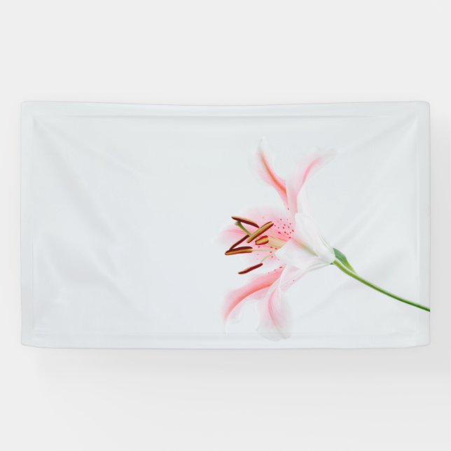 3'x 5'-Banner Banner (Horizontal)